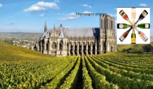 castle infront of the champagne plantations in Reims