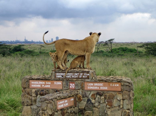 get Wild & city life in 1 Nairobi city tour