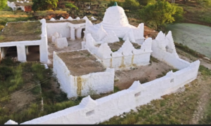 Diredawa and Harar city tour in 2 days